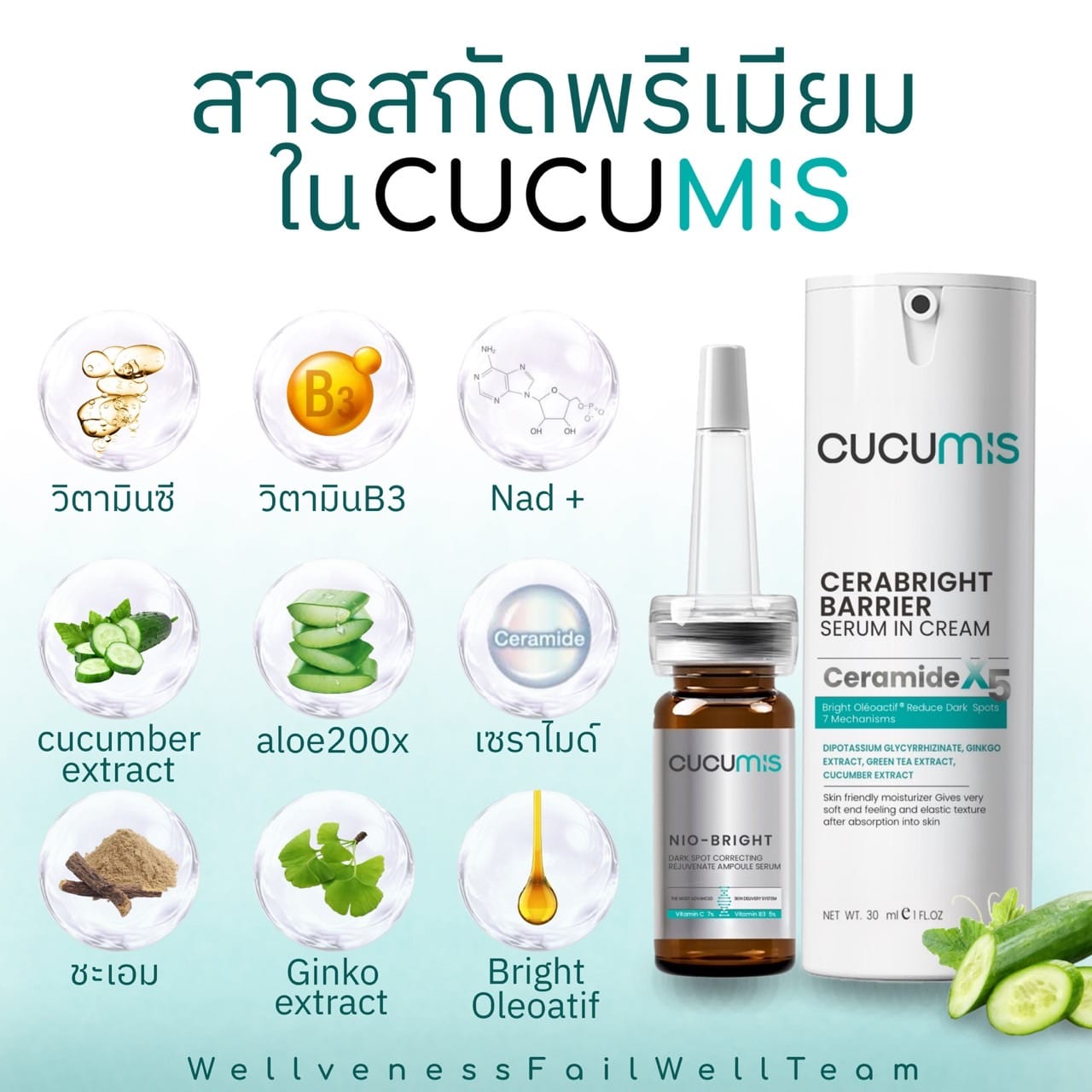 เซราไบรท์ CUCUMIS CERABRIGHT BARRIER SESUM IN CREAM คูคูมิส เซราไบร์ท แบริเอร์ เซรั่ม อิน ครีม