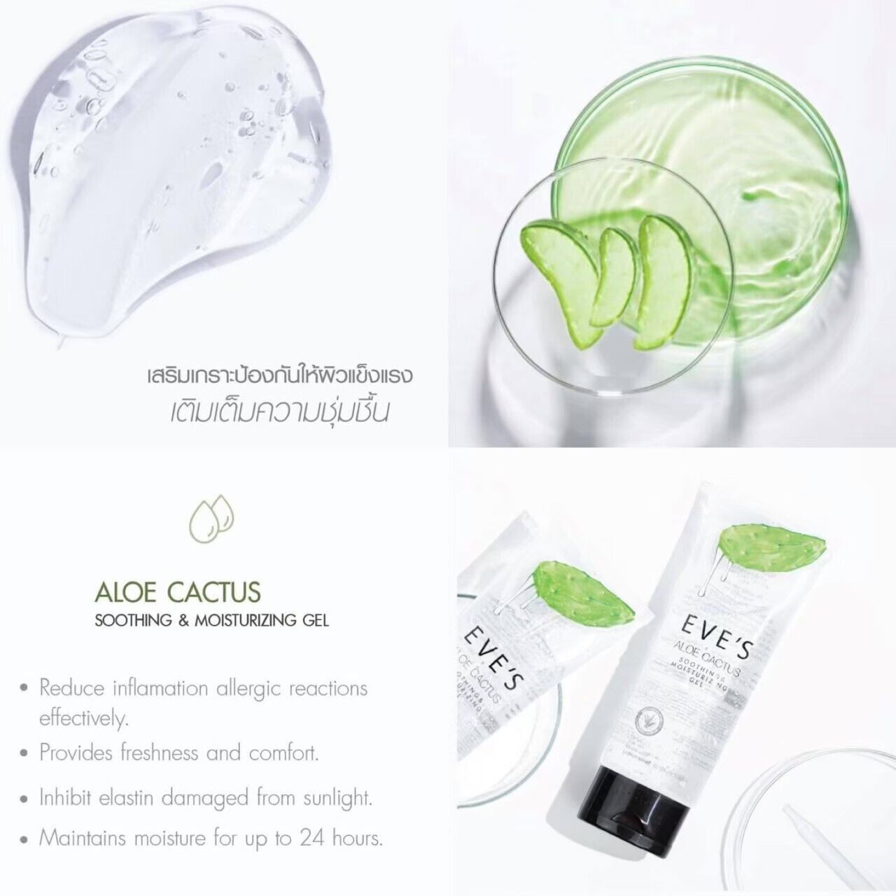 EVE'S ALOE CACTUS SOOTHING & MOISTURIZING GEL